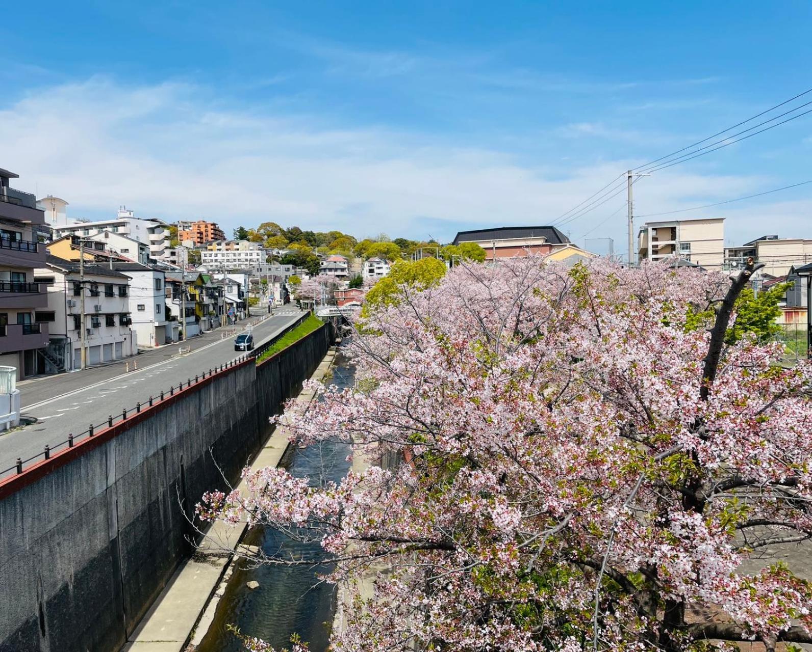 Kobe Coffee Hostel Exterior foto